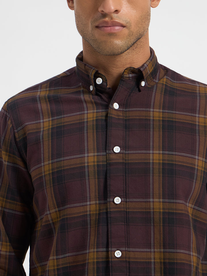 Brown Check Full Sleeve Shirt